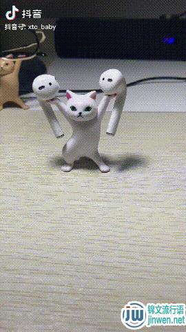 万物皆可举是什么意思？就是这只可爱的小猫咪