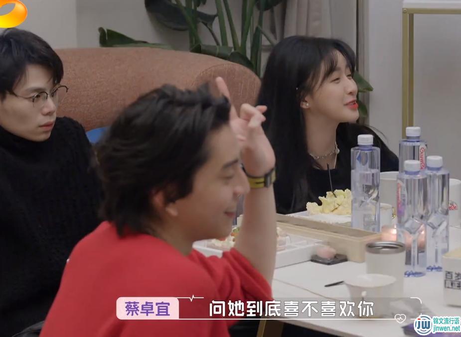 蔡卓宜以前的长相图片，她和倪萍是什么关系？