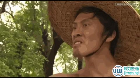 职业法师刘海柱什么梗？职业法师刘海柱顺口溜