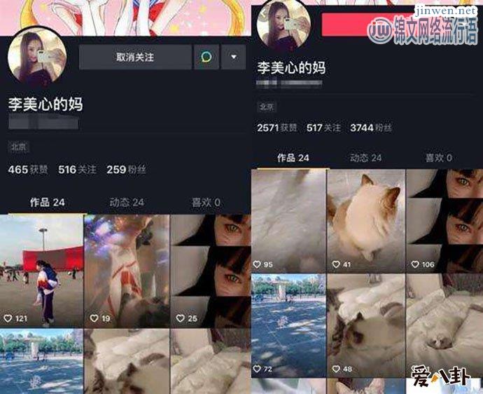 李小璐被扒社交小号，里面内容记录与贾乃亮离婚！