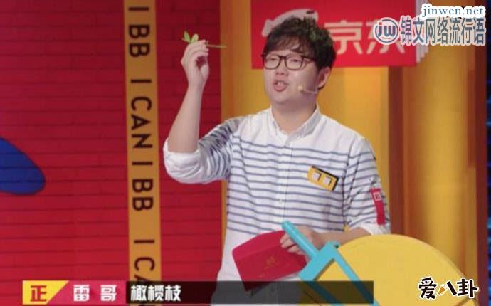 《奇葩说6》选手雷哥出其不意成黑马，早前居然是电台DJ