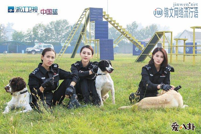 《警花与警犬》讲述的什么内容？剧中亮点居然是她！