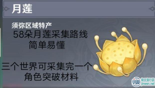 原神月莲有什么用 月莲去哪里采集