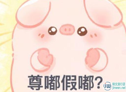 尊嘟假嘟是什么意思 和小猫小狗有什么关系