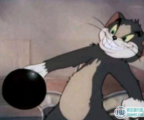 猫鼠队是什么意思