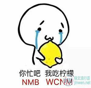 你忙吧我吃柠檬什么意思?你忙吧我吃柠檬什么梗？