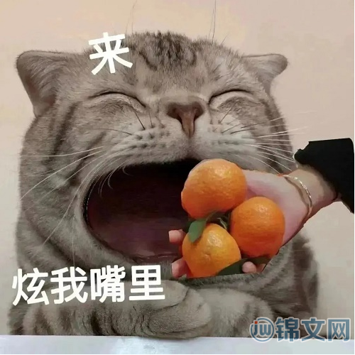 炫