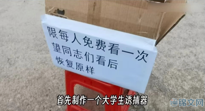 大学生诱捕器