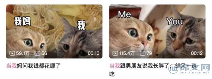 嘴替小猫