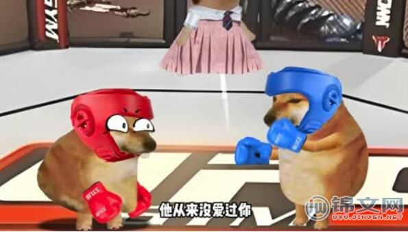 请攻击我最薄弱的地方